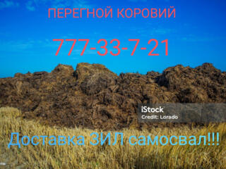 ПЕРЕГНОЙ КОРОВИЙ