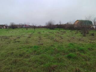 Продам участок возле Одессы, Березань. Расстояние 45 км. Центр. ...