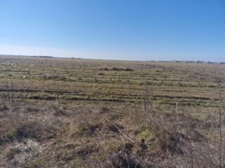 Предлагается к продаже участок правильной формы в с. Молодежное 12 ...