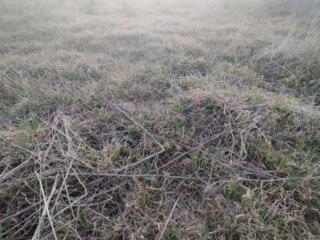 В продаже земельный участок для индивидуального садоводства, ...