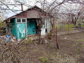 Продам дачный участок с вагончиком