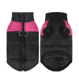 Продам недорого