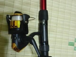 Продаю Спининг удочку с катушкой