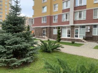 Предлагается к продаже трехкомнатная квартира площадью 80,8 м. ...