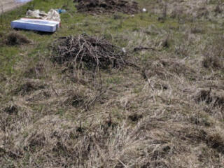 Продаётся отличный участок 11 соток в Новой Дофиновке!