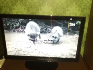 Продам телевизор Самсунг