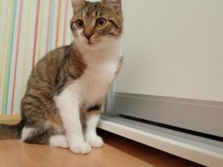 В связи с переездом