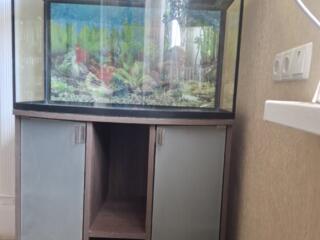 Аквариум с тумбой