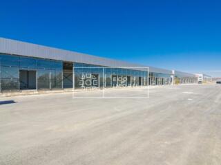 Se dă în chirie spații comerciale pe prima linie, șos. Balcani. ...