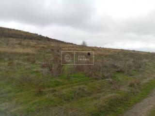 Spre vânzare teren agricol, comuna Tigheci, raionul Leova, suprafața .