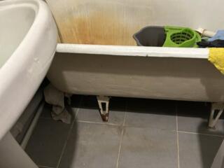 Продам чугунную ванну, тюльпан