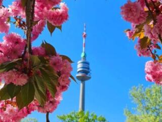 Профессиональный репетитор немецкого языка