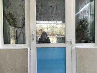 Продам дом в центре города