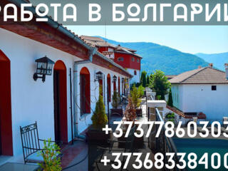 РАБОТА В БОЛГАРИИ ПО БИО ПАСПОРТУ