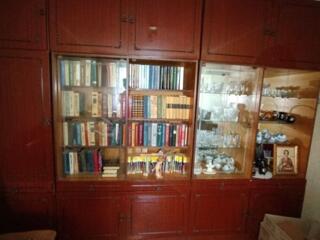 срочно отдам бесплатно