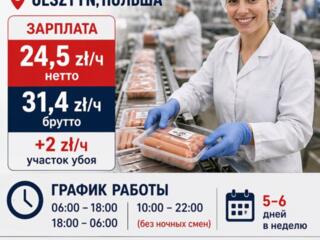 РАБОТА НА ЗАВОДЕ INDYKPOL В ПОЛЬШЕ OLSZTYN