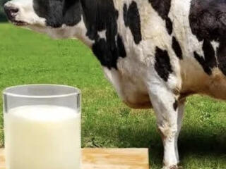 Продам свежие цельное молоко.