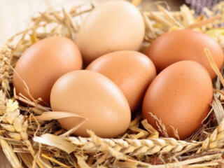 Продам: Домашние куриные яйца - 40руб/десяток. Сало и подчерёвок 