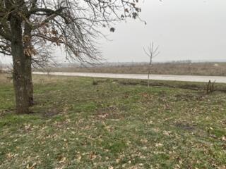 Продается земельный участок сельскохозяйственного назначения площадью 