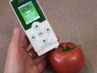 НИТРАТ ТЕСТЕР: ОВОЩИ, МЯСО, ФРУКТЫ