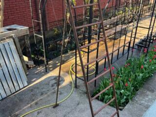 Лестница садовая