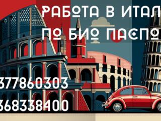 РАБОТА В ИТАЛИИ по био паспорту