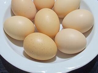 Яйца куриные домашние