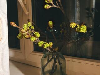 Обмен две комнаты