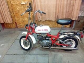 Продам Ригу мини с документами