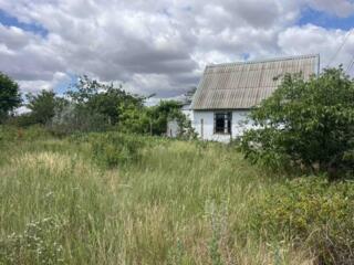 Продам участок у моря в Черноморске, Ветеран. 7.46 соток правильной ..