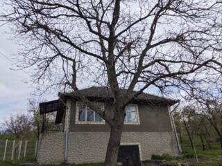 CASA VASIENI Ialoveni
