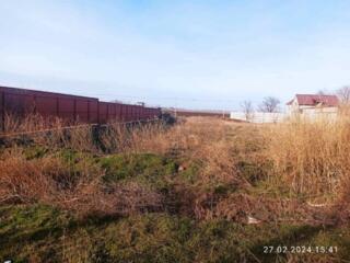 В продаже участок 10 соток, расположенный в Лесках. Участок ...