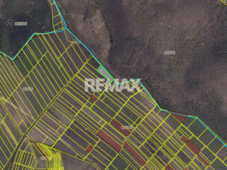 Teren 41,49 ari Ghidighici | deschidere 122 m | agricol | investiție