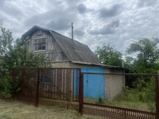 Продам дачу СОТ Литмаш