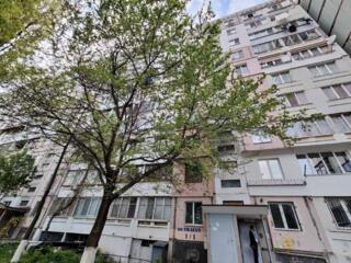 1х в центре Ботаники