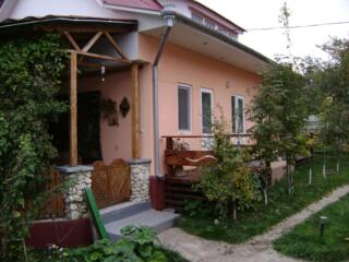 Casă, 307 m², Viișoara