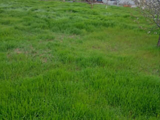 Продам участок, Фонтанка, ул. Верхняя