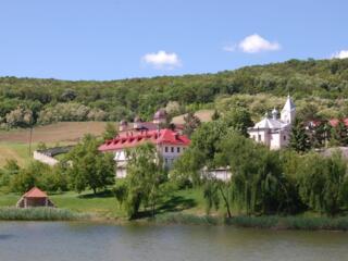 Suruceni, 20 ari pentru construcție, cu casă batrineasca pe el