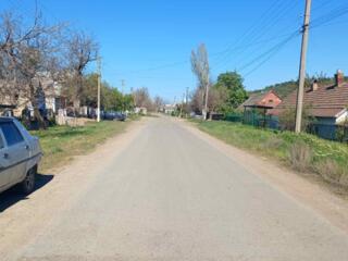 Дом на участке 25 соток в с Палиевка