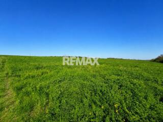 Teren agricol de 40 ari în Ghidighici – oportunitate pentru investiție