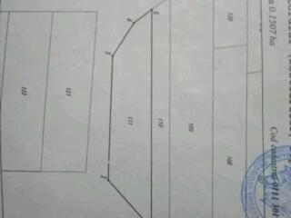 Teren 15 ari lingă iazul Sângera