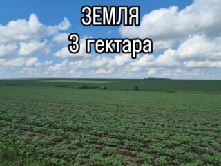 Квота 3 га