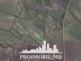 Spre vânzare se oferă teren agricol, situat în Orhei, sat.Podgoreni ..