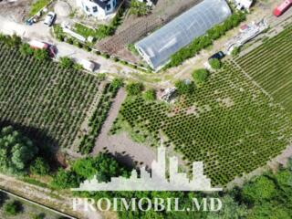 ​ Spre vânzare se oferă teren pentru construcții, situat în r. ...