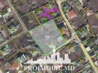 Spre vânzare se oferă teren pentru construcții, situat în Codru, str. 
