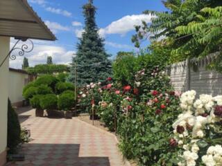 Продаю будинок з ремонтом в Корабел. р-ні, зуп. Кутузова. Держпрограми+