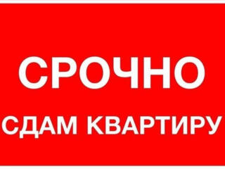 Сдаю в аренду 1 к/к., 8/9, г. Николаев. Улица Генерала