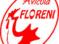 Предприятие Floreni SRL закупает зерновые