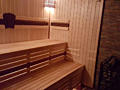 Vip bazin cald hidromasaj +25 sauna pe lemn biliard, tenis de masa