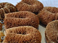 Щётки из натуральной кокосовой койры для сухого массажа.